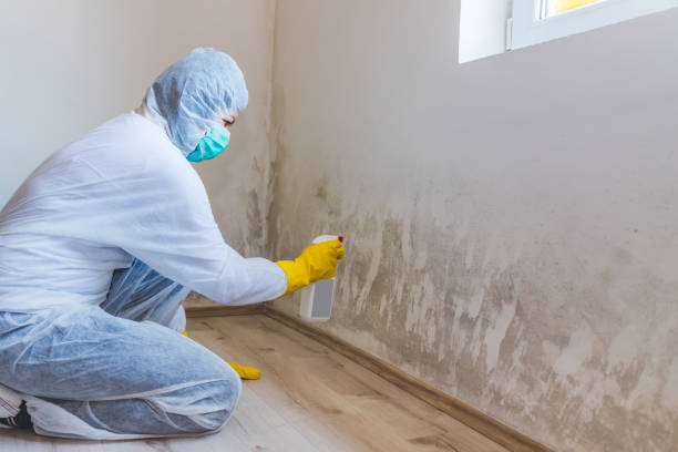 Mold Remediation specialist working in Platteville